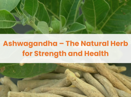 Ashwagandha – The Natural Herb for Strength and Health