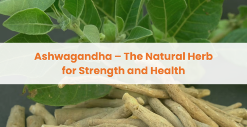 Ashwagandha – The Natural Herb for Strength and Health