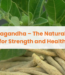 Ashwagandha – The Natural Herb for Strength and Health